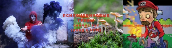 гашик Данков