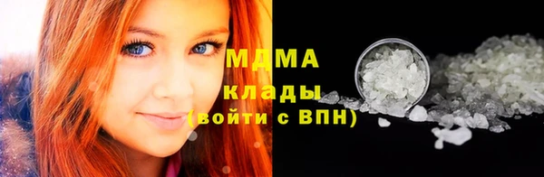 гашик Данков