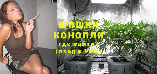 мяу мяу мука Кинешма