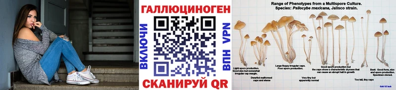 Псилоцибиновые грибы ЛСД Касли